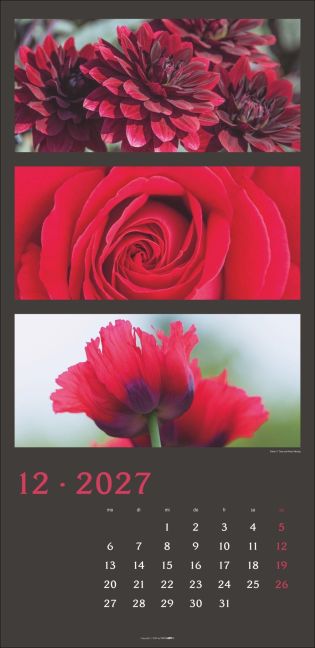 InsideView 12