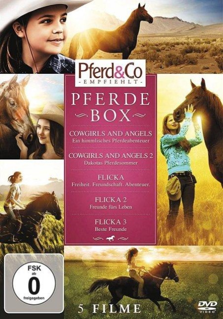 Pferde Box - 