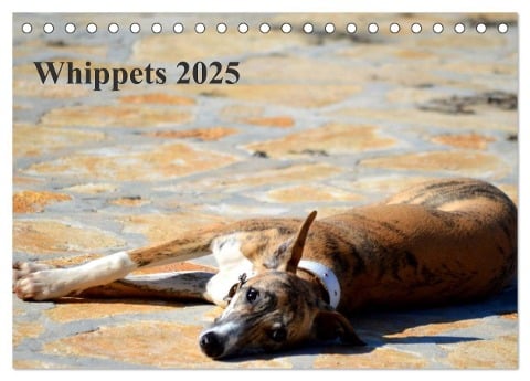 Whippet 2025 (Tischkalender 2025 DIN A5 quer), CALVENDO Monatskalender - Ula Redl