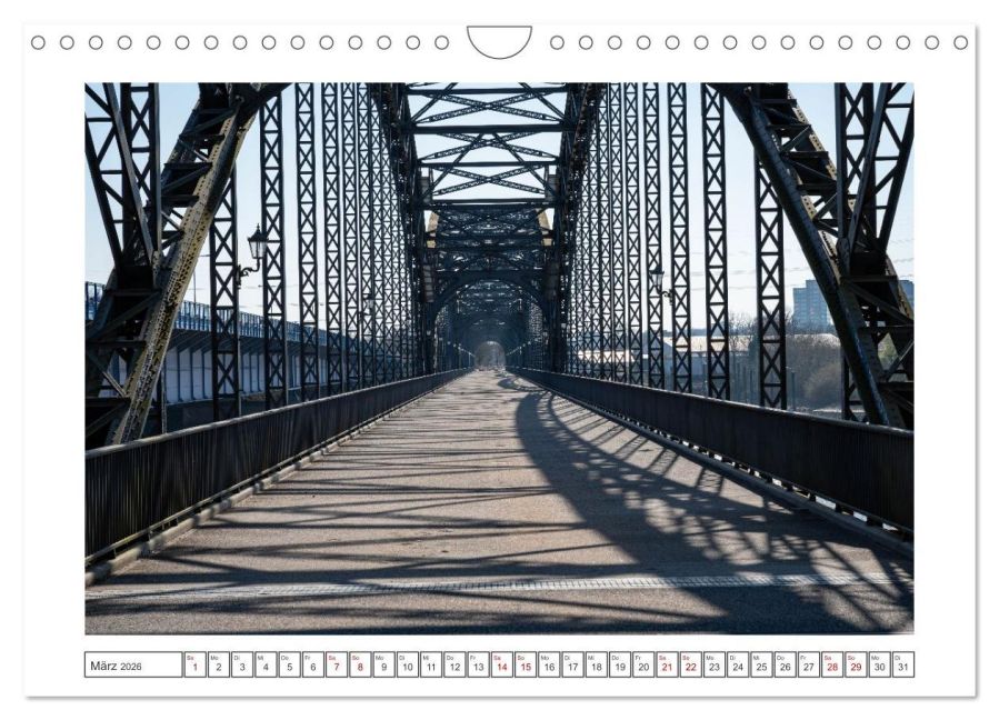 InsideView 8