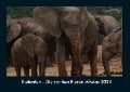 Elefanten - Die sanften Riesen Afrikas 2024 Fotokalender DIN A4 - Tobias Becker