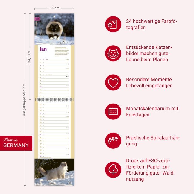 InsideView 13