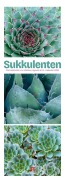 Sukkulenten Triplet-Kalender 2026 | Kakteen, Agaven & Co - 