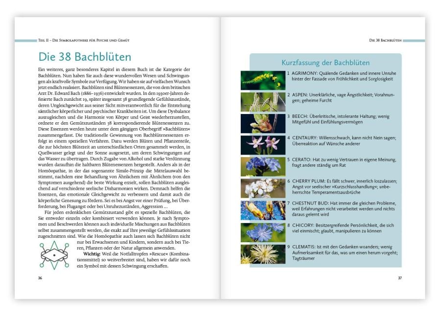 InsideView 3