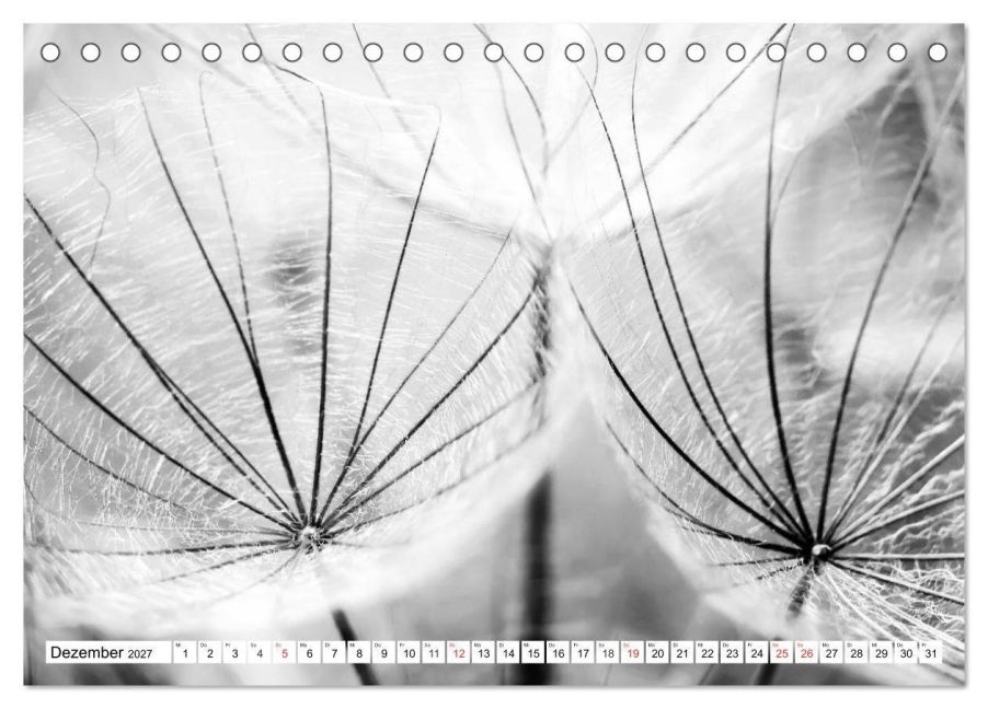 InsideView 4