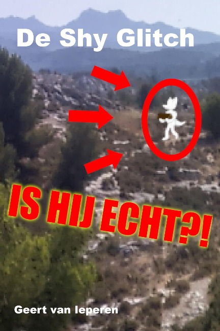 De Shy Glitch - Geert van Ieperen