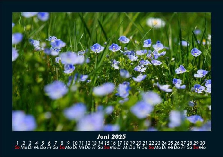 InsideView 10