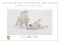 Emotionale Momente: Polarwölfe. (Tischkalender 2025 DIN A5 quer), CALVENDO Monatskalender - Ingo Gerlach GDT