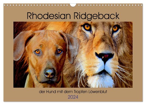 Rhodesian Ridgeback der Hund mit dem Tropfen Löwenblut (Wandkalender 2024 DIN A3 quer), CALVENDO Monatskalender - Dagmar Behrens