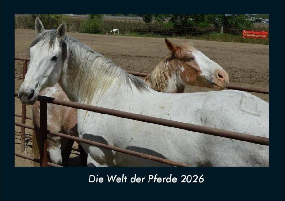 Die Welt der Pferde 2026 Fotokalender DIN A4 - Tobias Becker