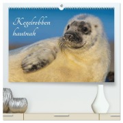 Cover-Bild zum Titel 'Kegelrobben hautnah (hochwertiger Premium Wandkalender 2026 DIN A2 quer), Kunstdruck in Hochglanz' von 'Sigrid Starick'