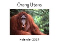 Cover-Bild zum Titel 'Orang Utans (Wandkalender 2024, Kalender DIN A4 quer, Monatskalender im Querformat mit Kalendarium, Das perfekte Geschenk)' von 'Anna Müller'