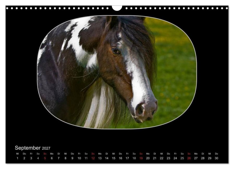 InsideView 14