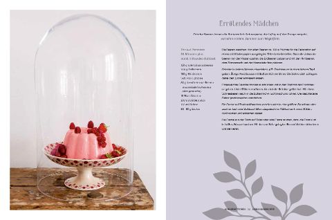InsideView 12