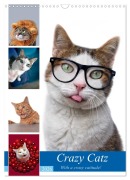 Cover-Bild zum Titel 'Crazy Catz. (Wandkalender 2026 DIN A3 hoch), CALVENDO Monatskalender' von 'Thorsten Nilson'