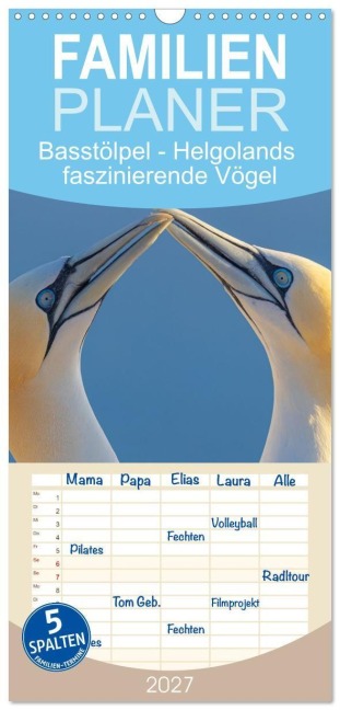 Familienplaner 2027 - Basstölpel - Helgolands faszinierende Vögel mit 5 Spalten (Wandkalender, 21 x 45 cm) CALVENDO - Burkhard Regner