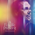 A Fragile Present (Digipak) - Marco Glühmann