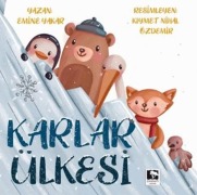 Cover-Bild zum Titel 'Karlar Ülkesi' von 'Emine Yakar'