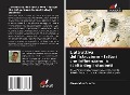 Cover-Bild zum Titel 'L'attrattiva dell'istruzione - fattori che influenzano la scelta degli studenti' von 'Alexandre Duarte'