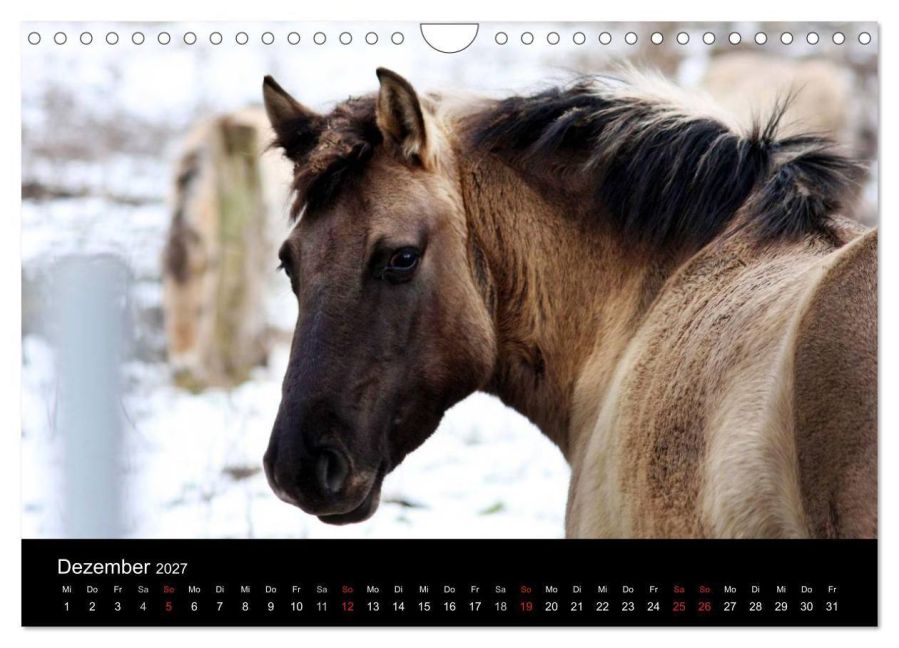 InsideView 4