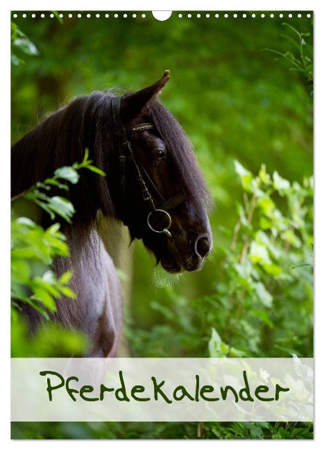 Pferdekalender (Wandkalender 2024 DIN A3 hoch), CALVENDO Monatskalender - Nicole Noack