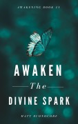 Cover-Bild zum Titel 'Awaken The Divine Spark (Awakening, #11)' von 'Matthew Buonocore, Matt Buonocore'