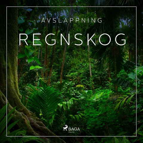 Avslappning - Regnskog - Rasmus Broe