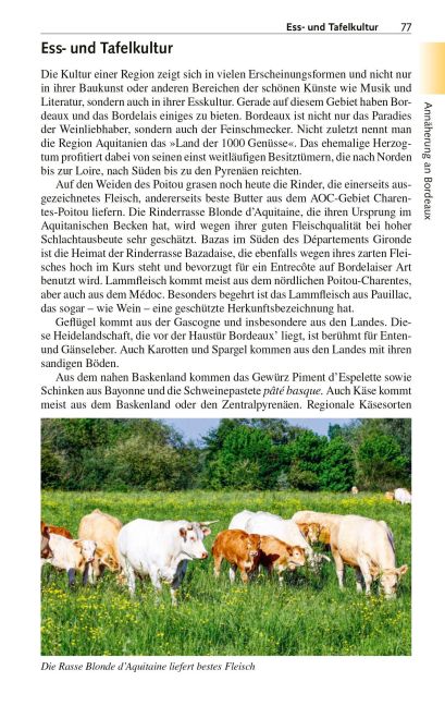 InsideView 13