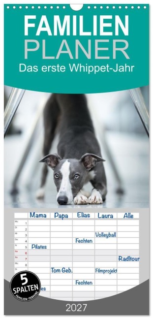 Familienplaner 2027 - Das erste Whippet-Jahr mit 5 Spalten (Wandkalender, 21 x 45 cm) CALVENDO - Nicola Kassat Fotografie