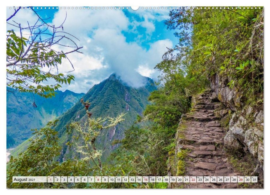 InsideView 12