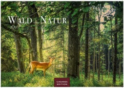 Cover-Bild zum Titel 'Wald & Natur Kalender 2027 - Wandkalender | Fotokalender Naturkalender 24x 35cm - Natürliche Schönheit & Ruhe für jeden Monat .' von ''
