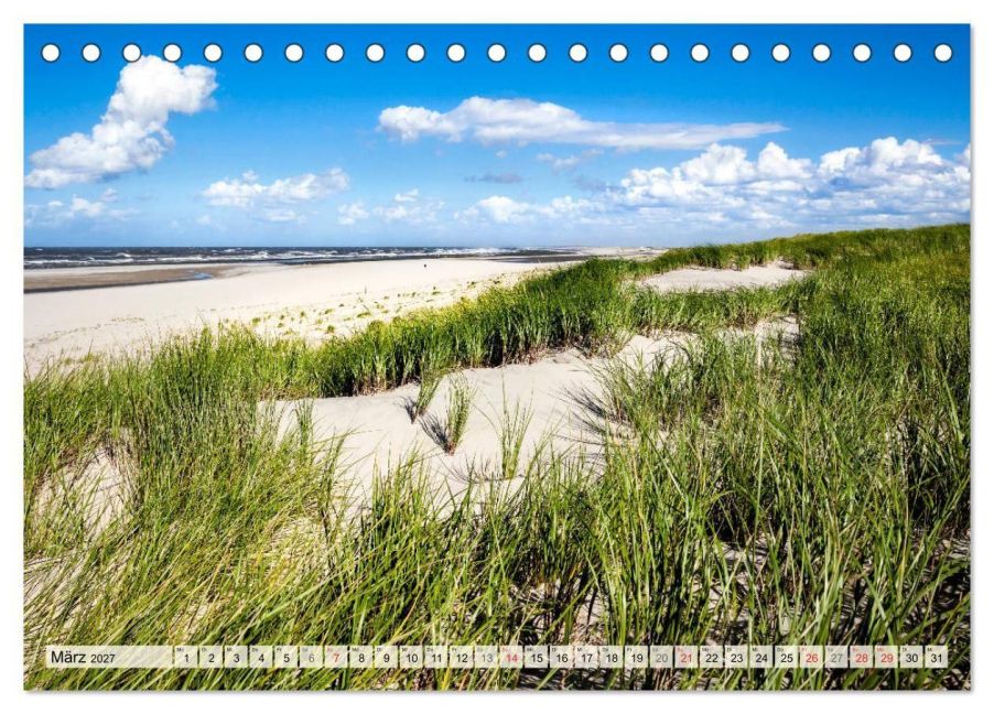 InsideView 8