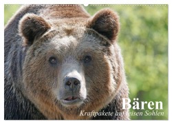 Cover-Bild zum Titel 'Bären. Kraftpakete auf leisen Sohlen (Wandkalender 2026 DIN A2 quer), CALVENDO Monatskalender' von 'Elisabeth Stanzer'