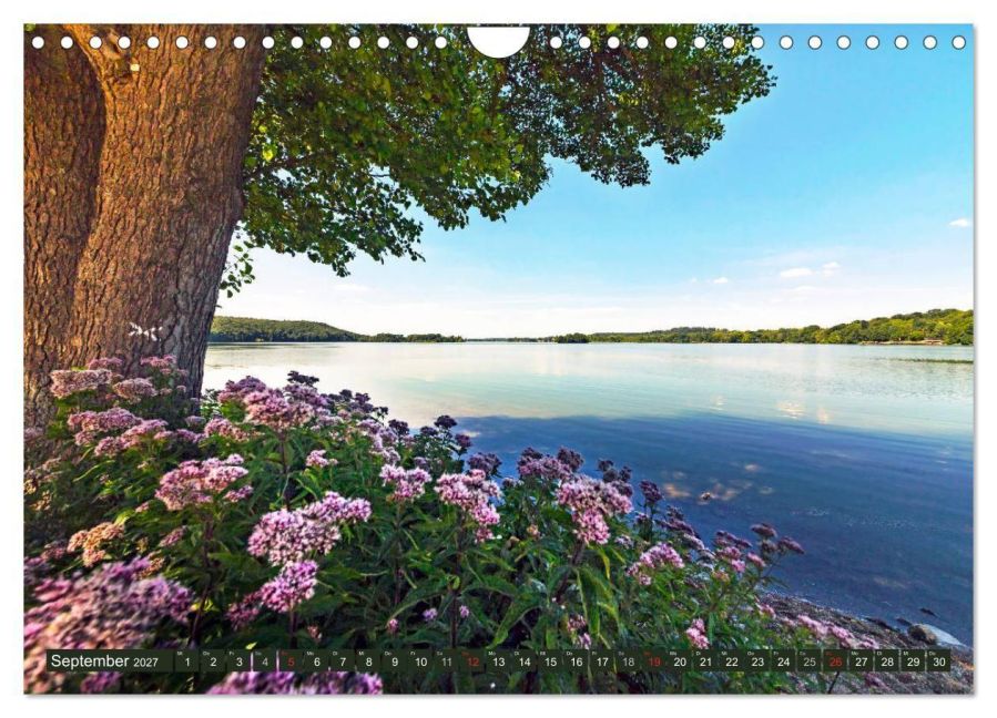 InsideView 14