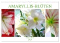 Amaryllis-Blüten (Wandkalender 2024 DIN A3 quer), CALVENDO Monatskalender - Gisela Kruse