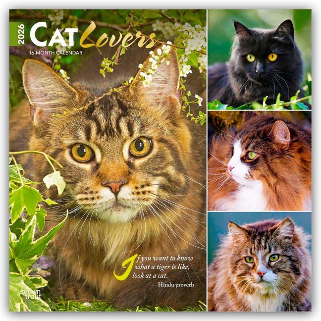 Cat Lovers - Katzenliebhaber 2026 - 16-Monatskalender - Browntrout Publishers