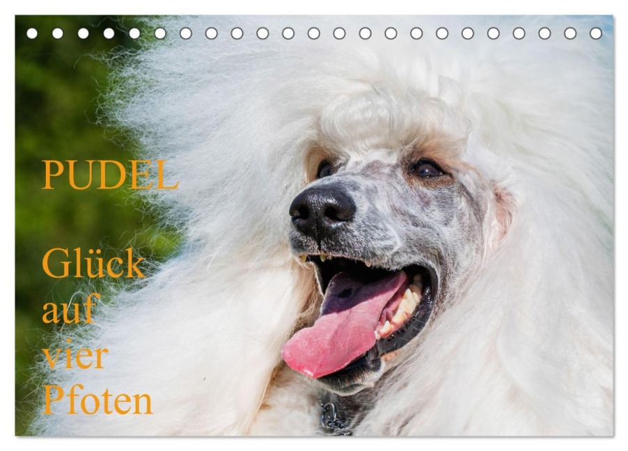 Pudel - Glück auf vier Pfoten (Tischkalender 2025 DIN A5 quer), CALVENDO Monatskalender - Sigrid Starick