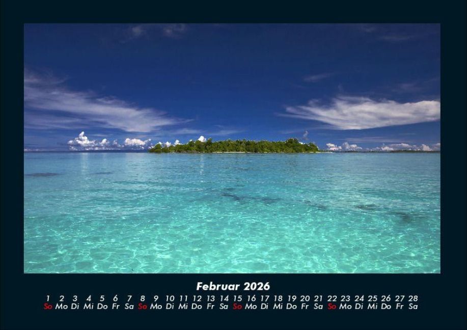 InsideView 6