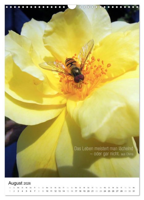 InsideView 13