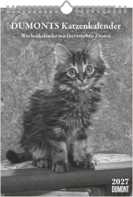 DUMONTS Katzenkalender 2027 - Marion Schmidt
