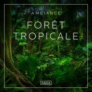 Cover-Bild zum Titel 'Ambiance - Forêt tropicale' von 'Rasmus Broe'