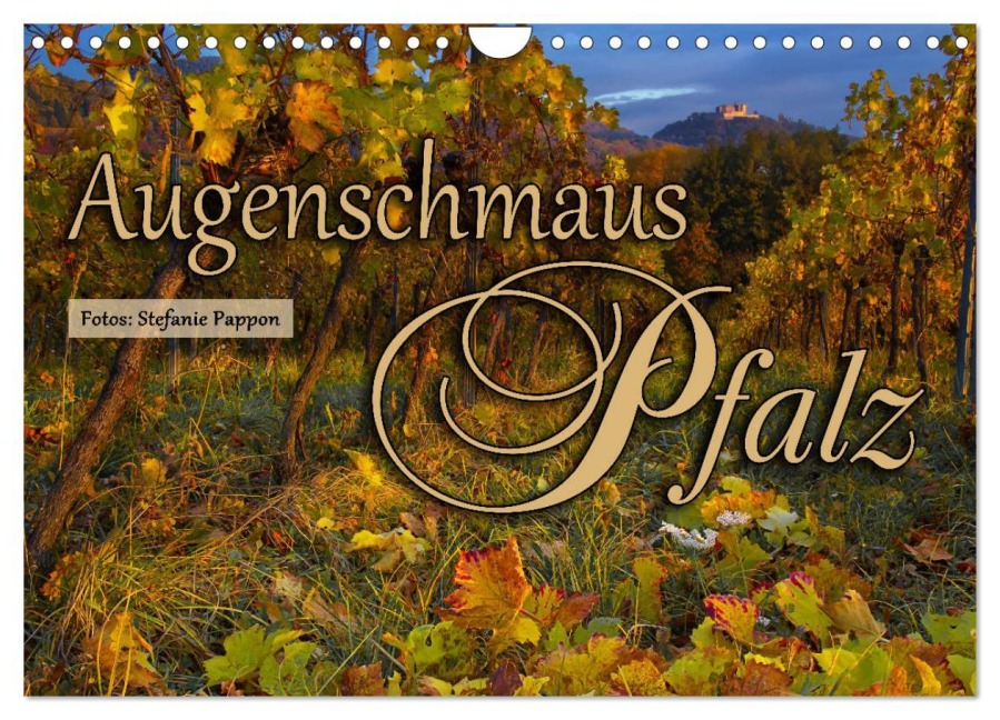 Augenschmaus Pfalz (Wandkalender 2026 DIN A4 quer), CALVENDO Monatskalender - Stefanie Pappon