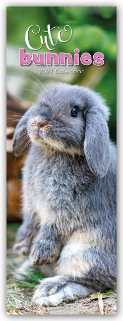 Cute Bunnies - Süße Häschen - Slimline-Kalender 2027 - Gifted Stationery Co. Ltd