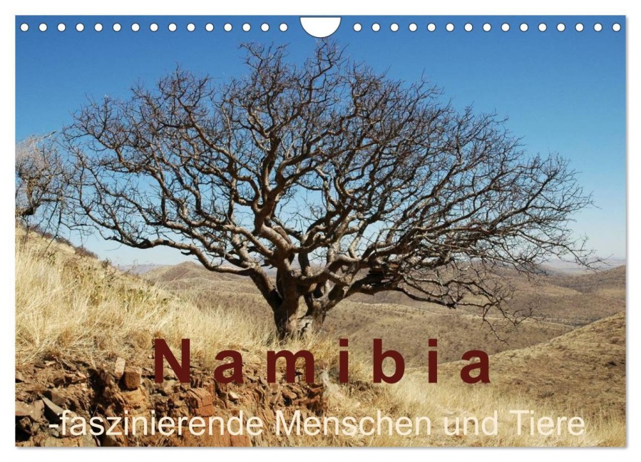 Namibia - faszinierende Menschen und Tiere (Wandkalender 2026 DIN A4 quer), CALVENDO Monatskalender - Brigitte Dürr