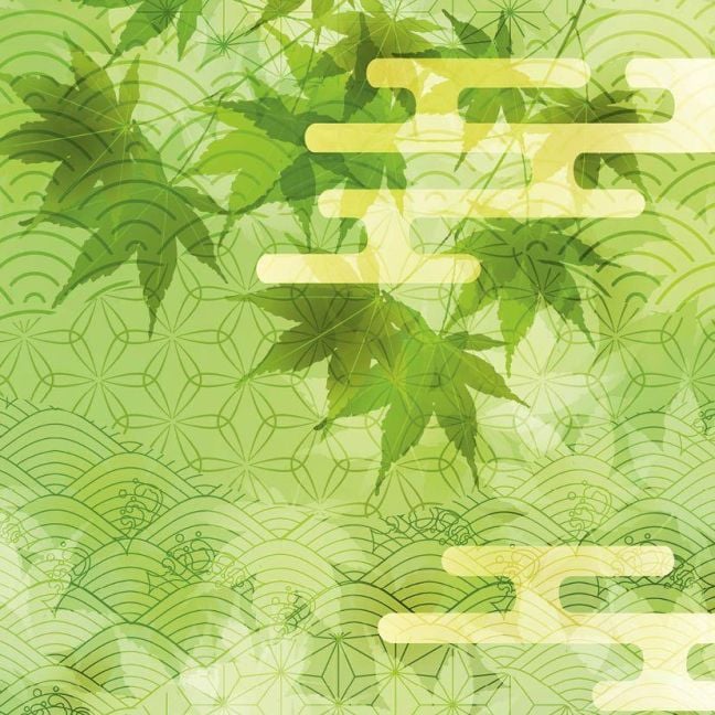 InsideView 12