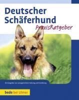 Deutscher Schäferhund - Susanne Samms