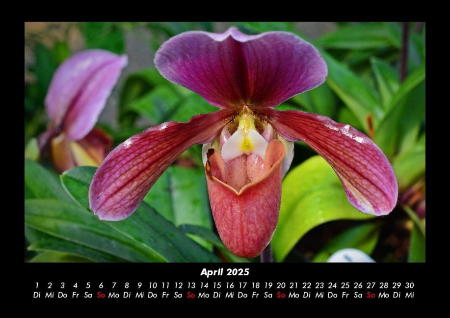 InsideView 8