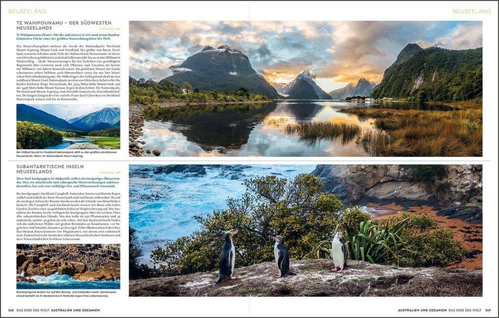 InsideView 12