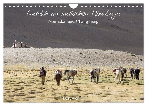 Ladakh im indischen Himalaja - Nomadenland Changthang - Bergweh ® (Wandkalender 2024 DIN A4 quer), CALVENDO Monatskalender - Barbara Esser