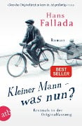 Cover-Bild zum Titel 'Kleiner Mann - was nun?' von 'Hans Fallada'